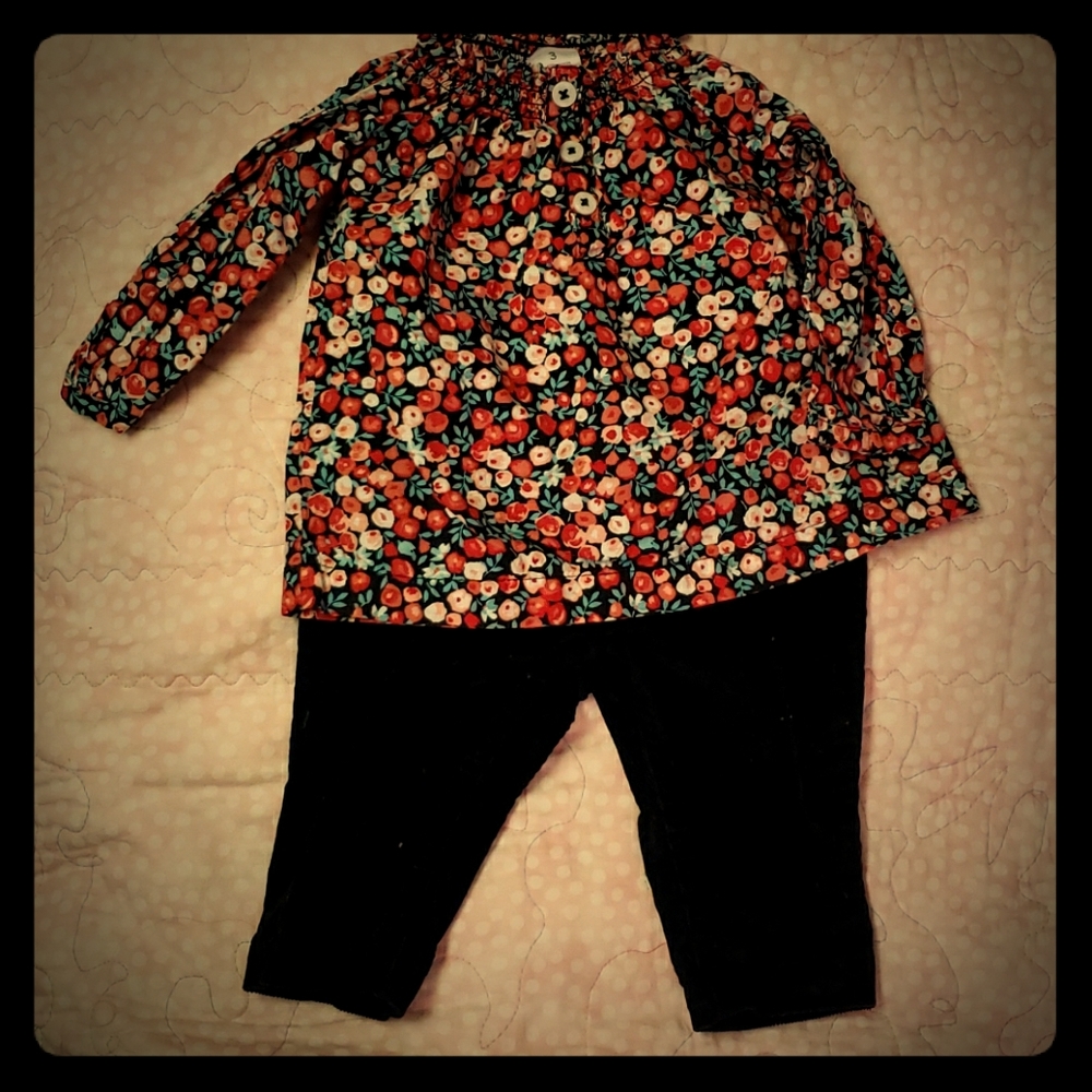 Carters Floral shirt and pant set